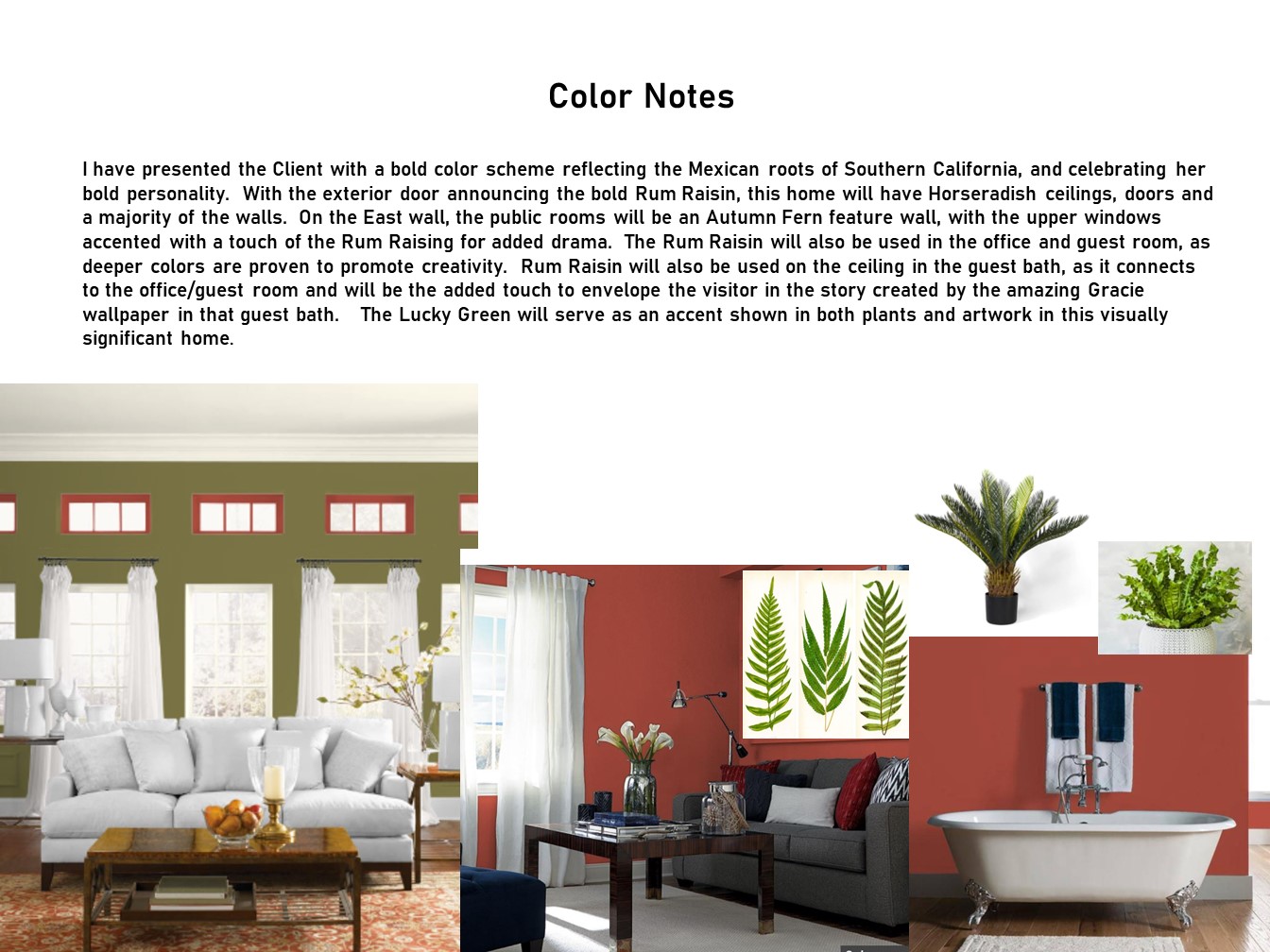 Color Notes Mexican